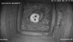 image-92cc2ca6c0ac10a6b2e3d480e18a60481884acc0-1440x831-png