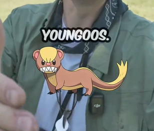 image-944e184743beab2e923ed023dd73f586f3aeeb3a-1130x1740-png