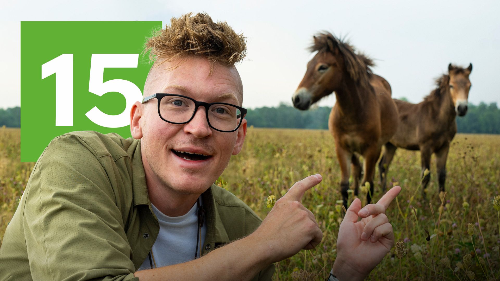 image-ae2fe75bae87968956e18a06efe6fadaccae019c-1920x1080-jpg