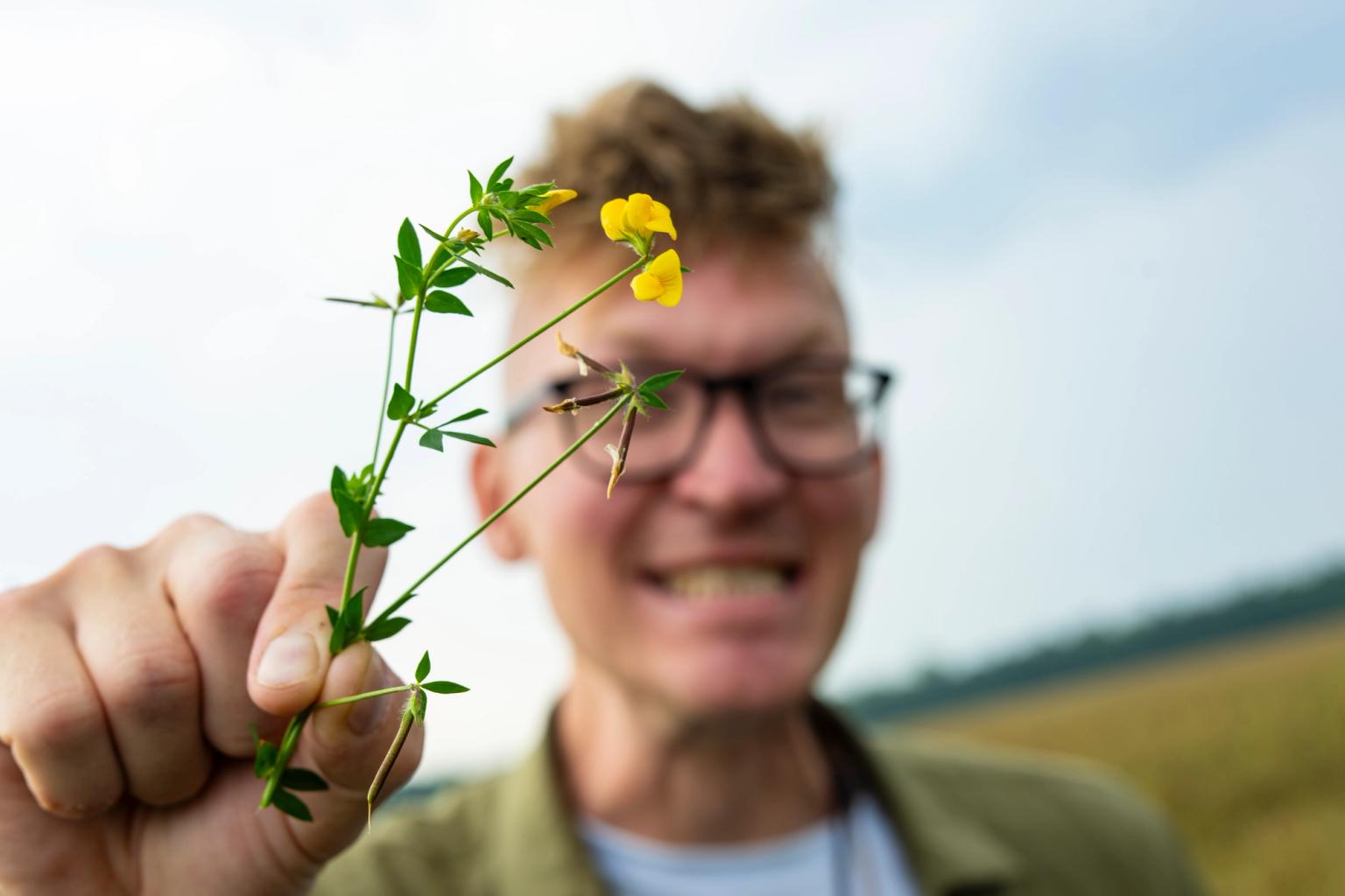 Jens holder planten almindelig kællingetand