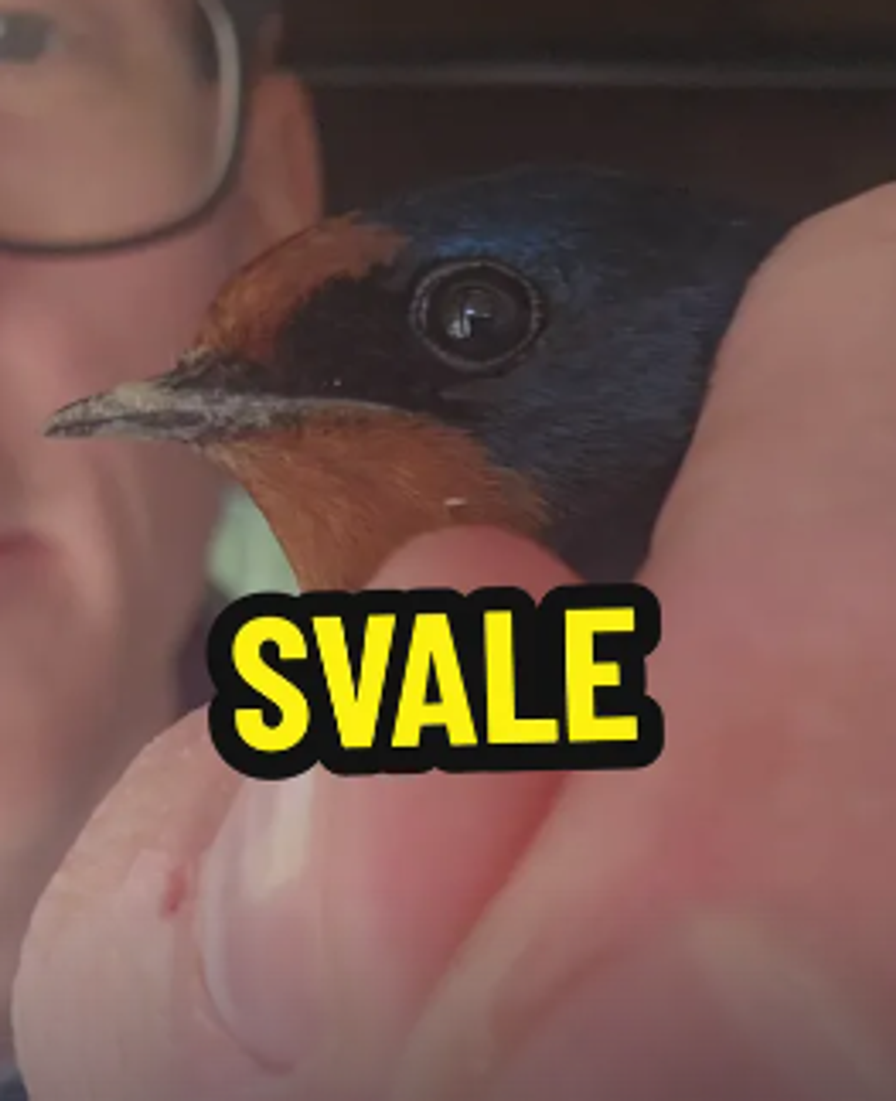 image-bab76070eb426b384324d5870670393d3a9a60f7-263x323-png