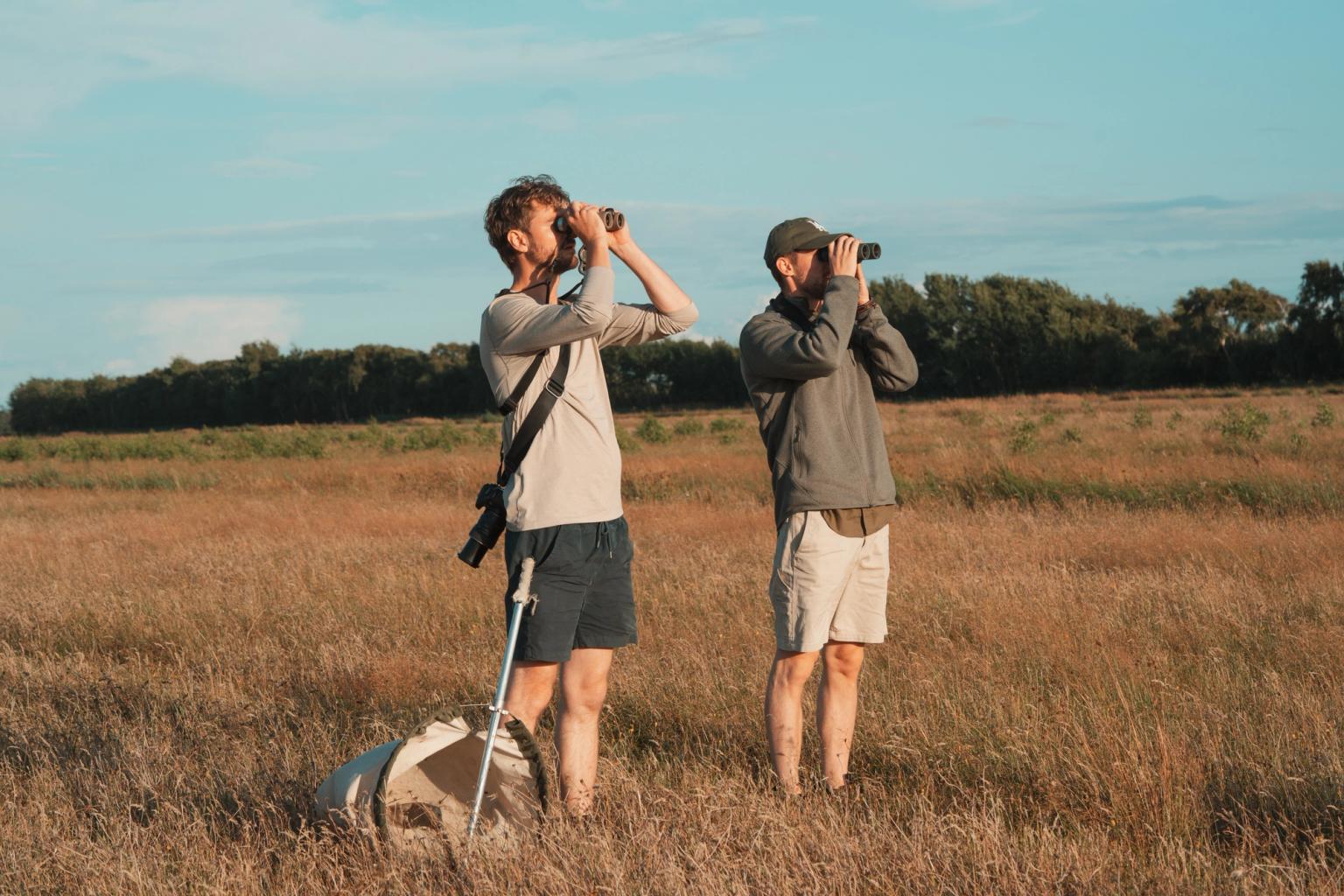 Saksfjed Vildmark er en af Danmarks bedste trækfugle-lokaliteter.