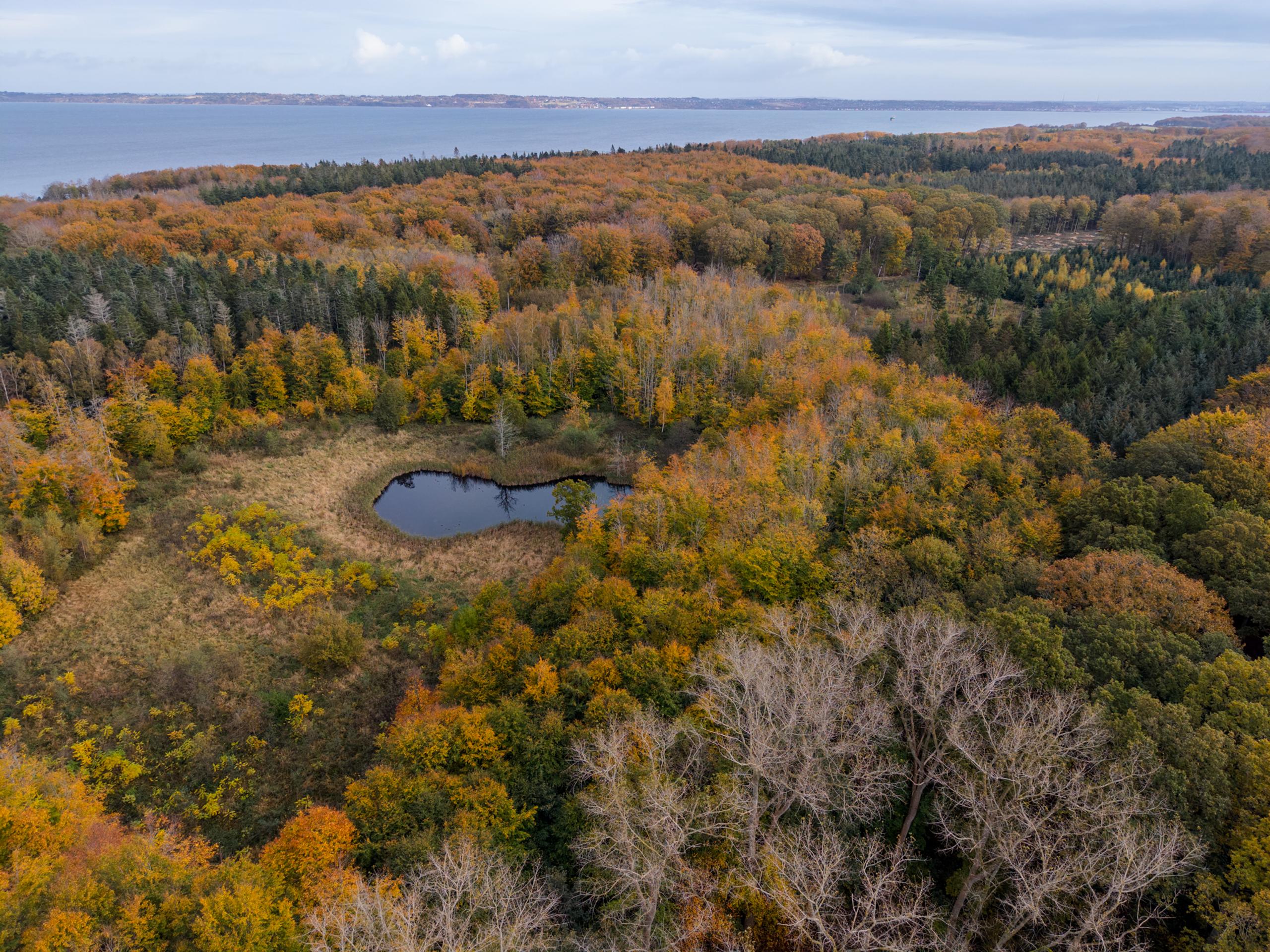 Asnæs Vildmark