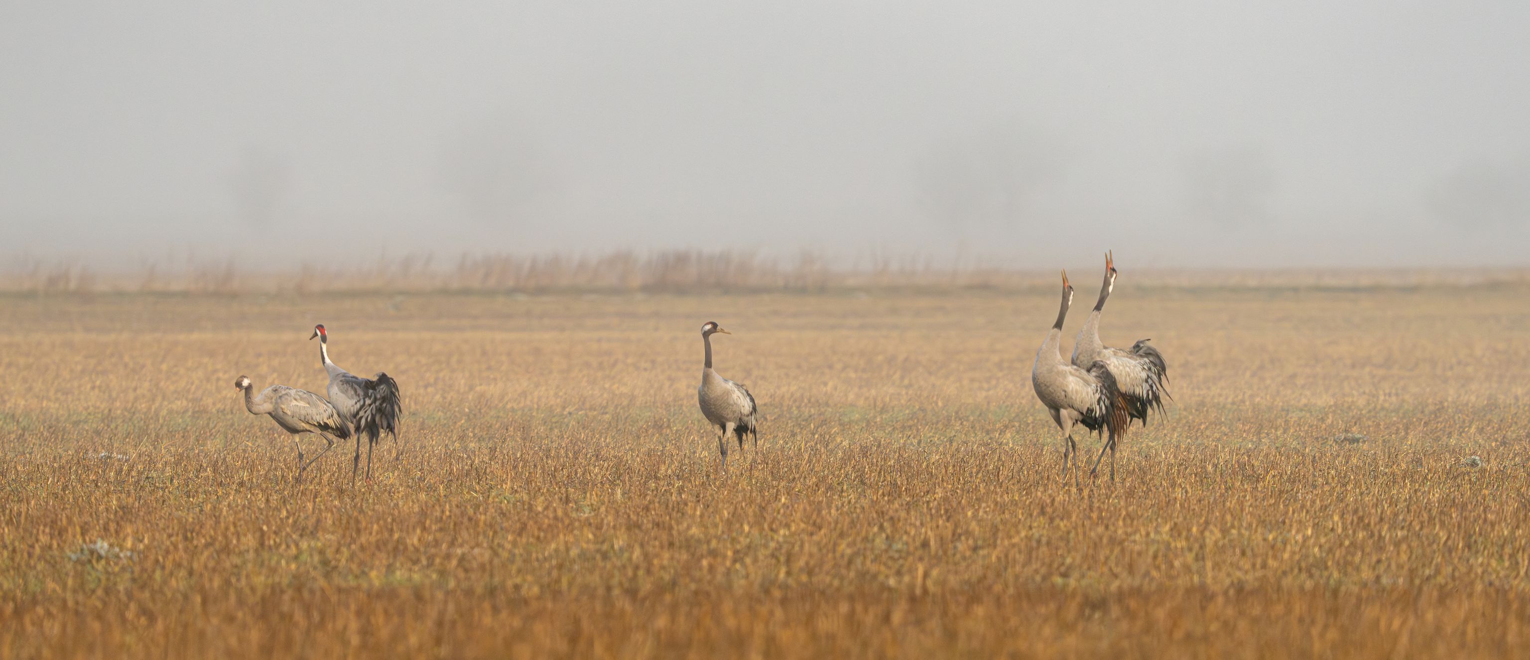 image-c2f1081fe3b9c5e58e3ddb2c21dd3bfb13ce2d44-7157x4771-jpg