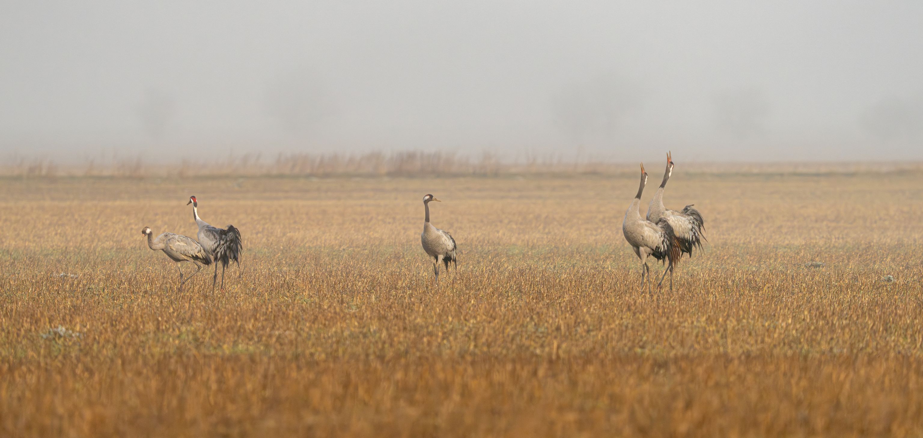 image-c2f1081fe3b9c5e58e3ddb2c21dd3bfb13ce2d44-7157x4771-jpg