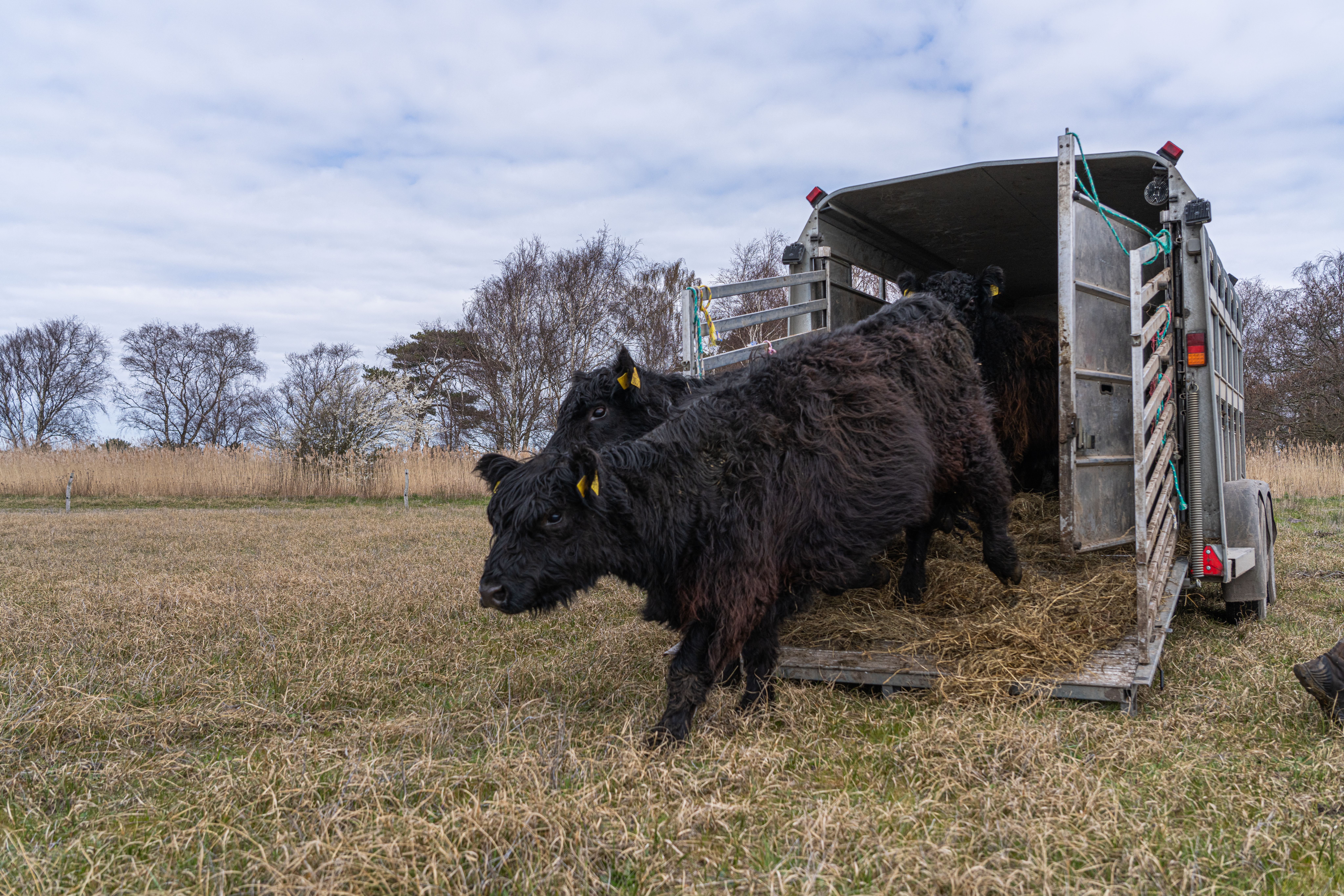 image-ca2eb00249f607893fc6ee124efb48916af032fa-9504x6336-jpg