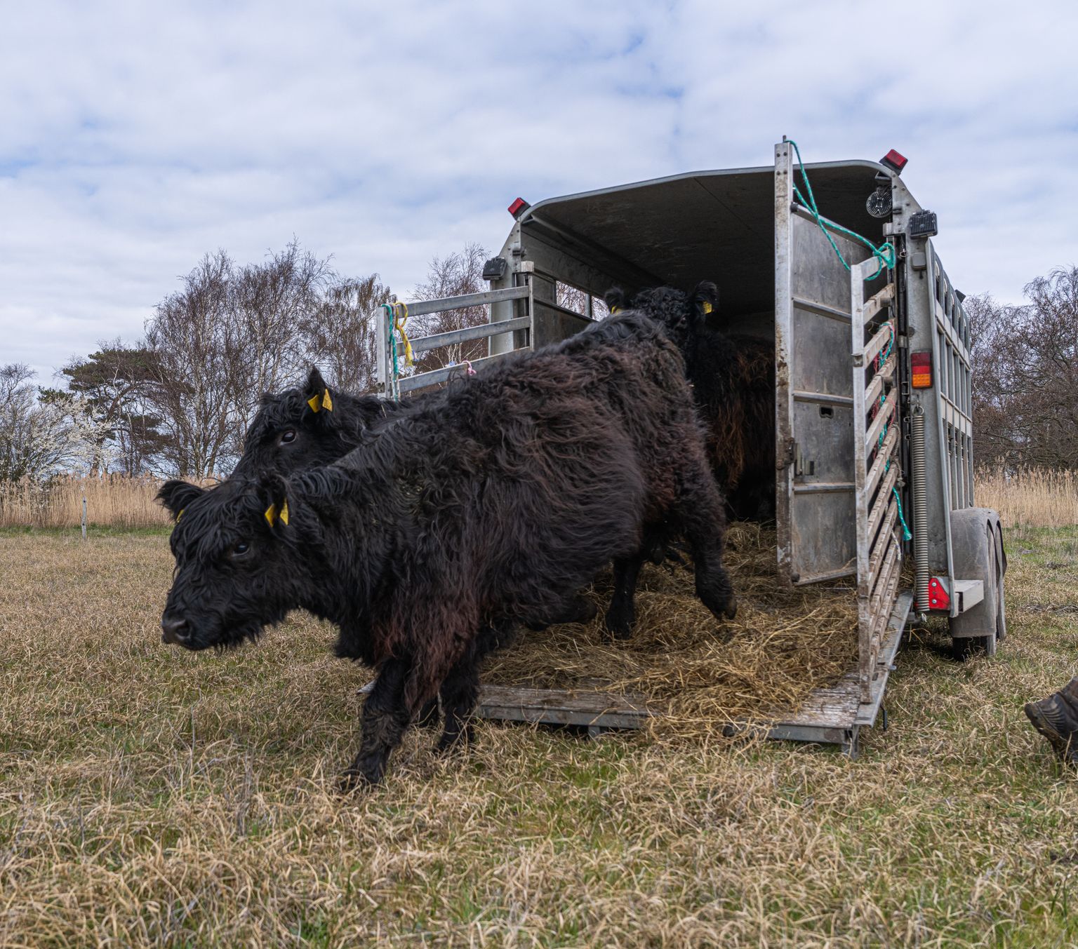 image-ca2eb00249f607893fc6ee124efb48916af032fa-9504x6336-jpg