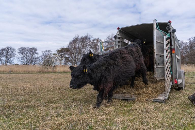 image-ca2eb00249f607893fc6ee124efb48916af032fa-9504x6336-jpg