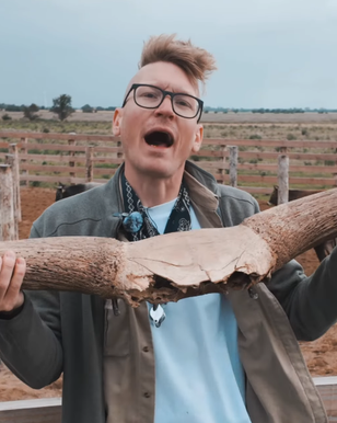 image-caea2a0fd0237c6f94113eb88c9e52a542c1b50f-453x568-png