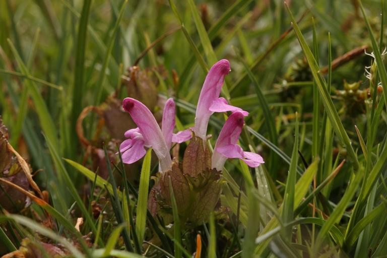 image-cbd423459a7485b0ad391fb1b6d782fb0258c43c-5472x3648-jpg