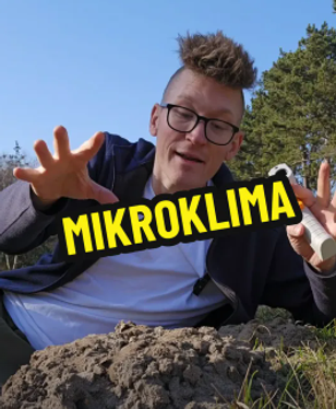 image-d4d7aaa363e80d132cb33da6f0cf589911dda23f-265x322-png