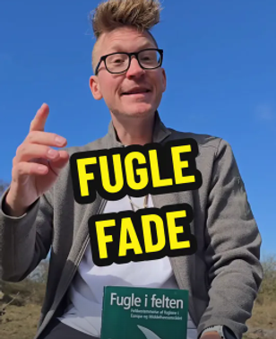 image-d737f938d3778c55253e97df0029b11528805d5e-265x325-png