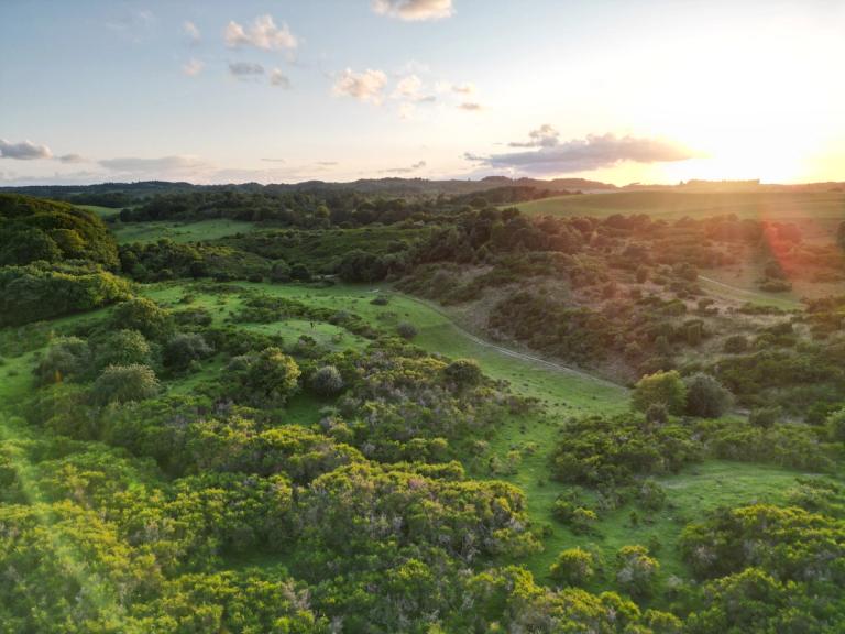 image-e581f049aadbfe5ad28dddef51fab134e1b9ea20-4032x3024-jpg