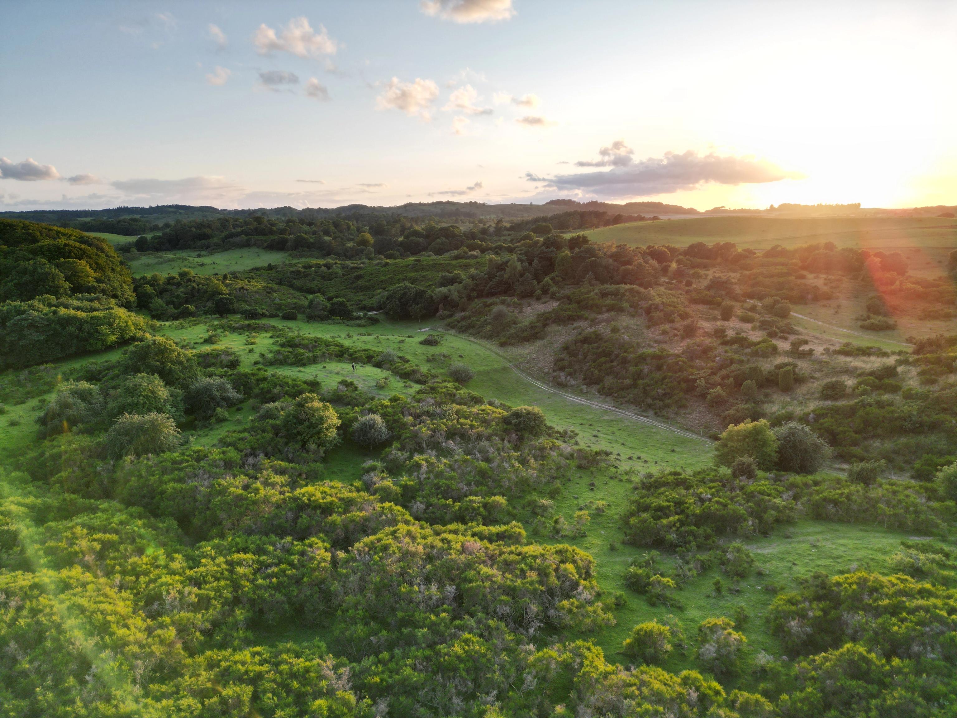 image-e581f049aadbfe5ad28dddef51fab134e1b9ea20-4032x3024-jpg