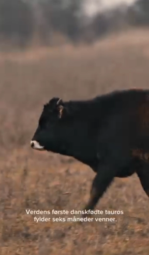 image-eff39d1c44a22c61022f6e167deb44d114a7eae8-1052x1792-png