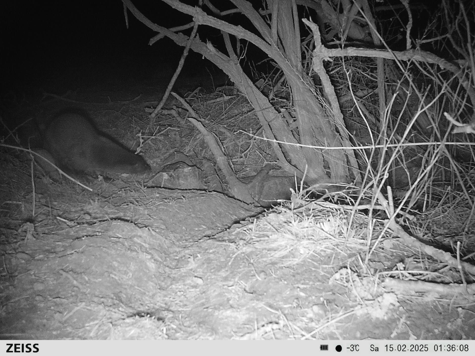 image-f0be20a33597b2622eb5d70385543ca1e3b90e7b-1919x1440-jpg