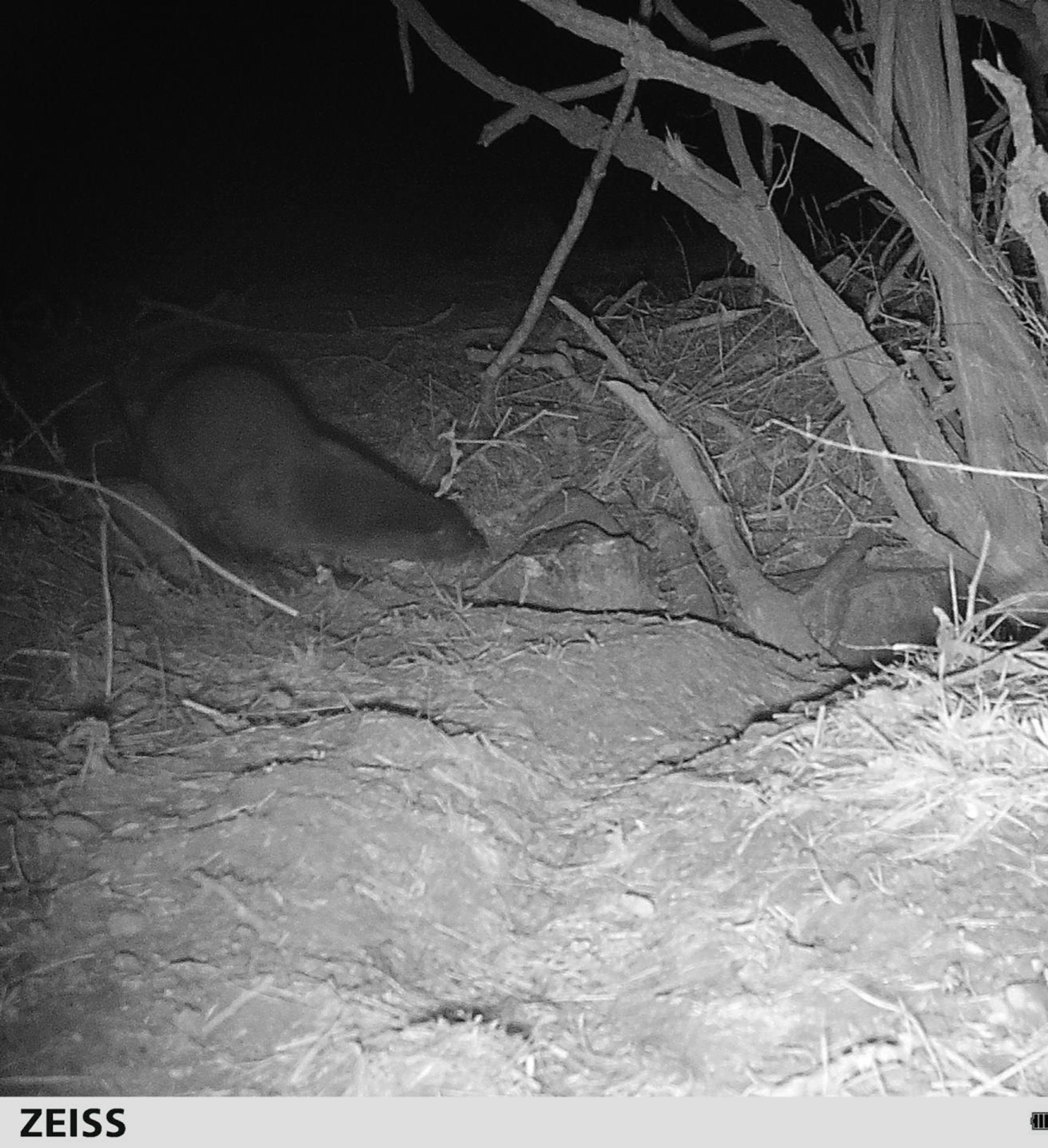 image-f0be20a33597b2622eb5d70385543ca1e3b90e7b-1919x1440-jpg