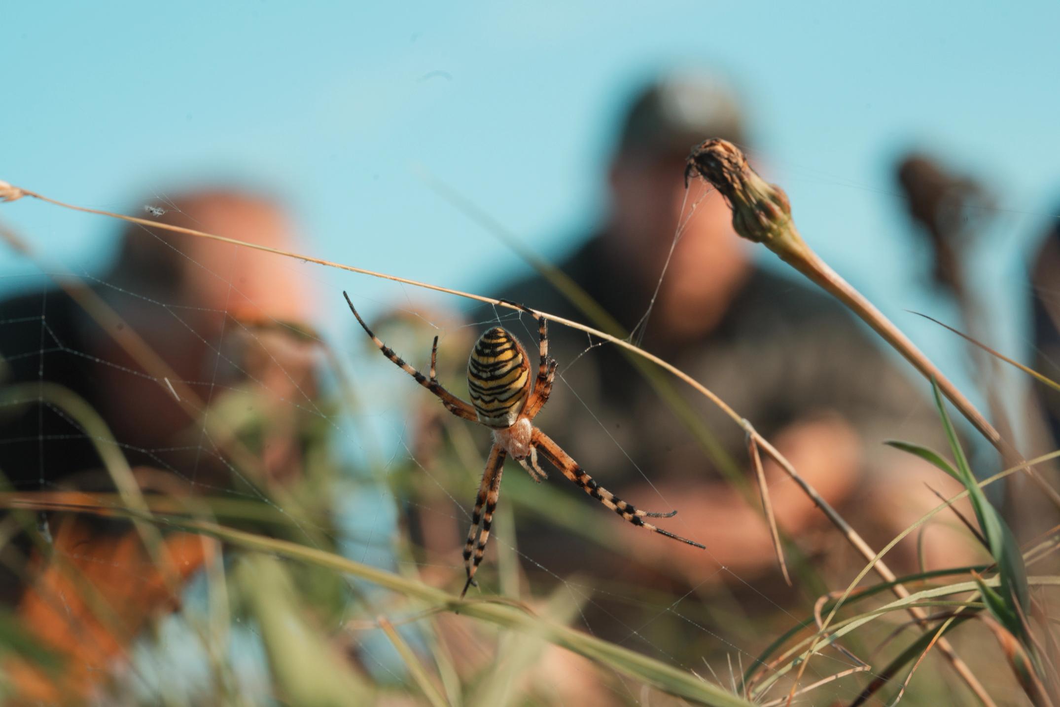 image-f2f31cab44b38a8fcbb95d171da9a411f94641c9-7008x4672-jpg