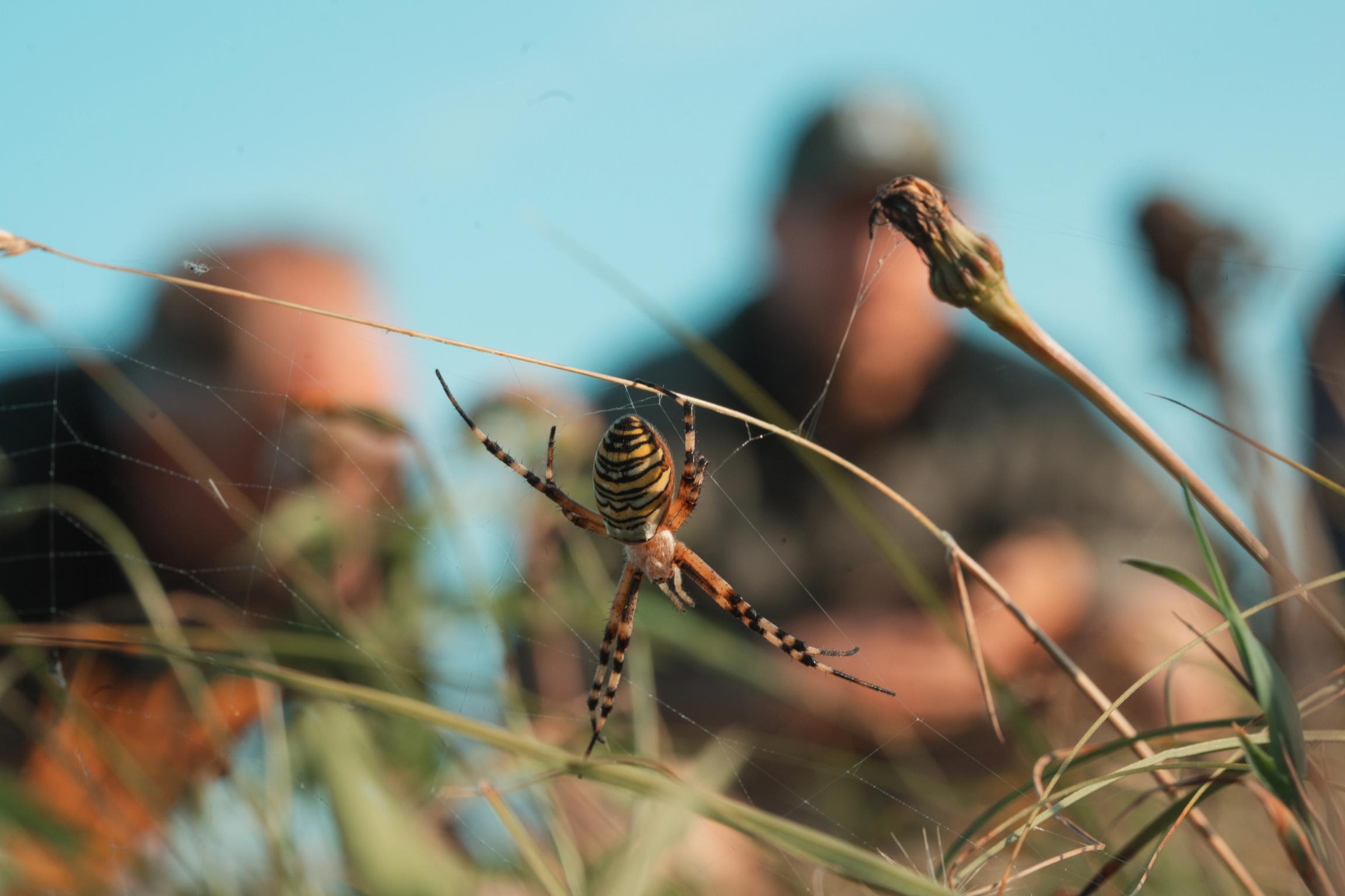 image-f2f31cab44b38a8fcbb95d171da9a411f94641c9-7008x4672-jpg