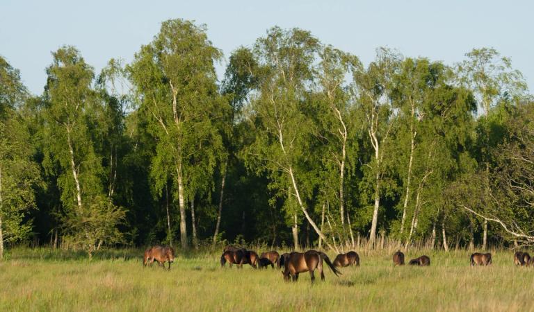 image-f73d8417e9e69acc295244158ace5547c6d37899-5952x3487-jpg