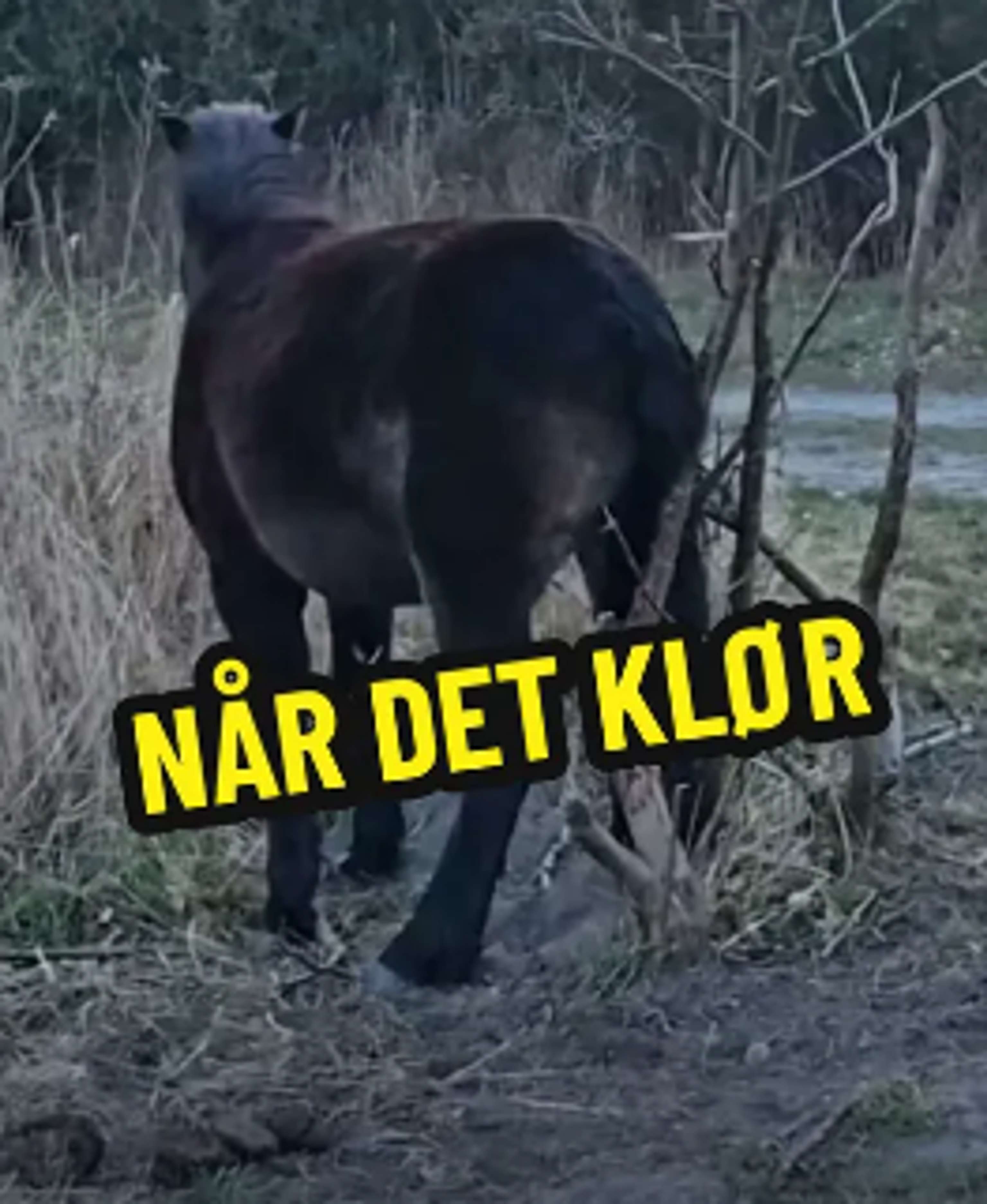 image-f7e6f6353280add27cfce766ee7240a521e77b00-263x321-png