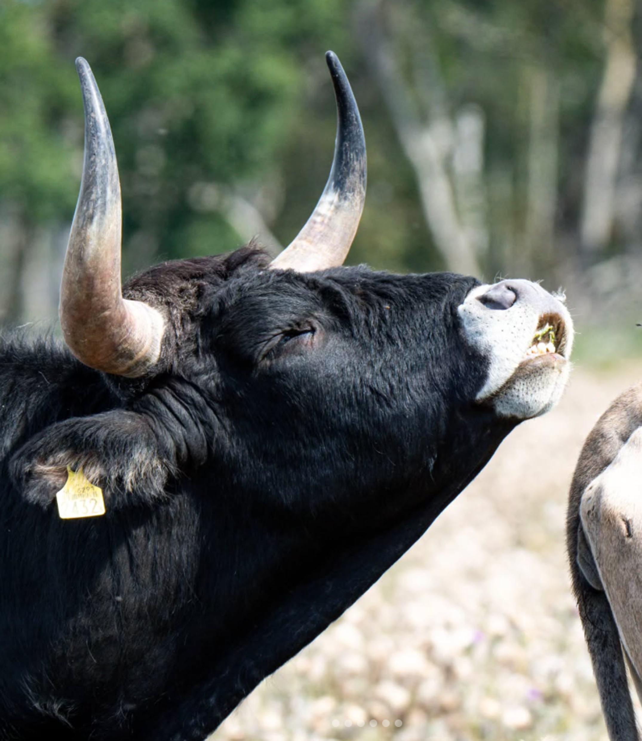 image-f7e8ebecad73a3a43d2318df3cda88b7fb15ae6b-768x886-png