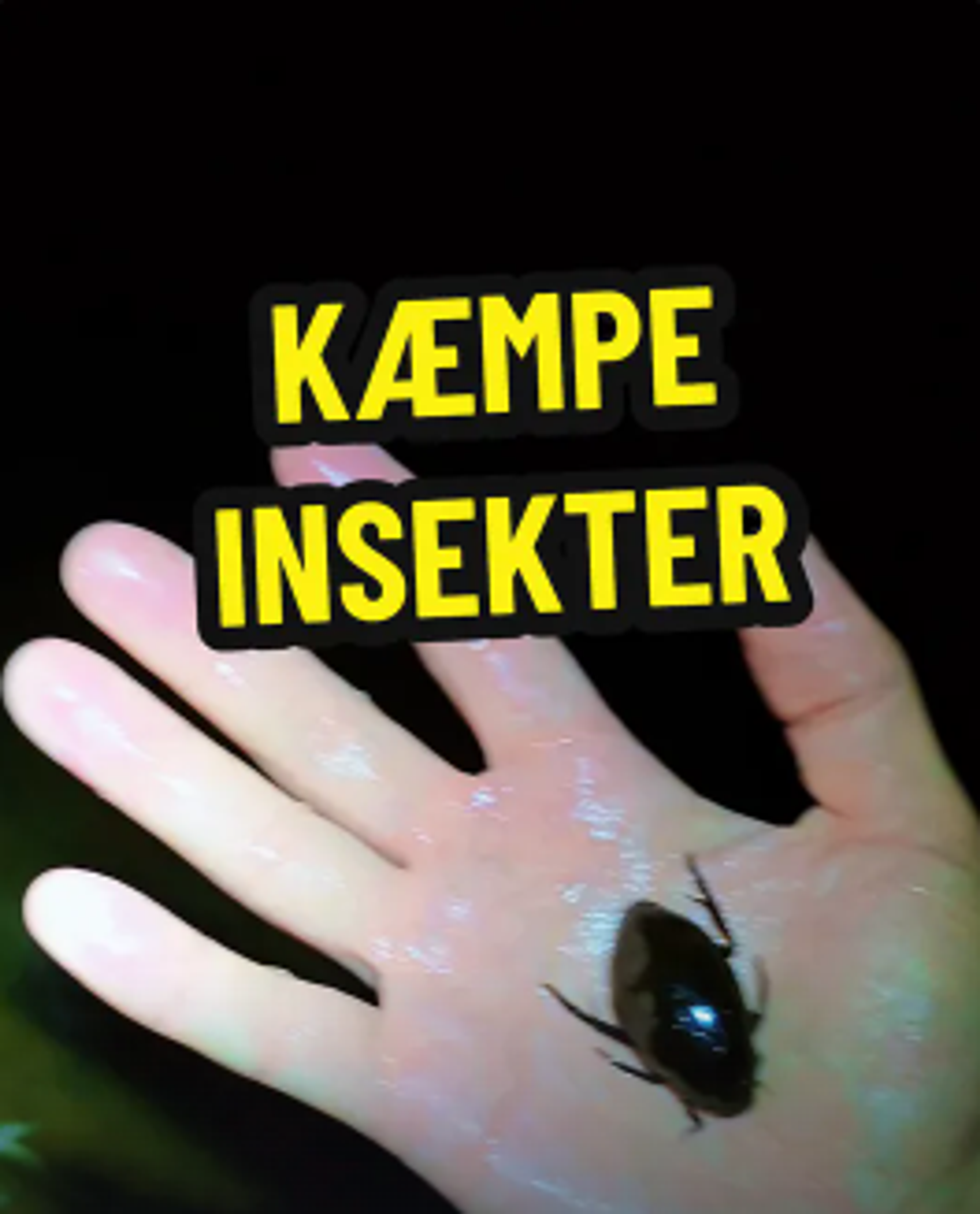 image-f9cfe16e0ea9ce43a20a450119fddd35014f25d5-264x327-png