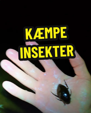 image-f9cfe16e0ea9ce43a20a450119fddd35014f25d5-264x327-png