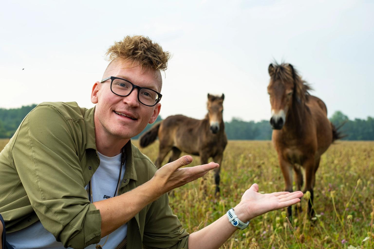 Jens peger på exmoor-heste