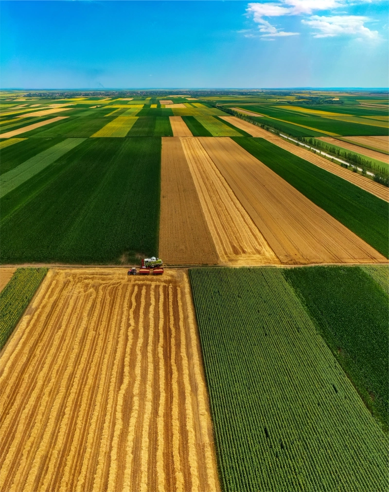 An aerial view of acres of cropland