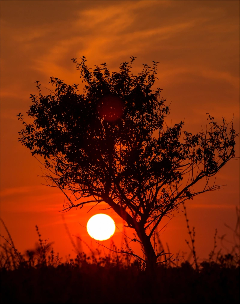 Extreme heat is accelerating the A/C boom, creating a vicious emissions cycle