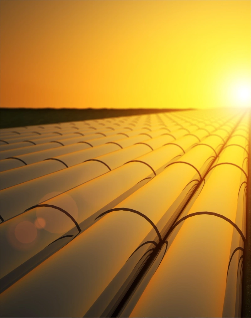 Rows of pipeline at sunset