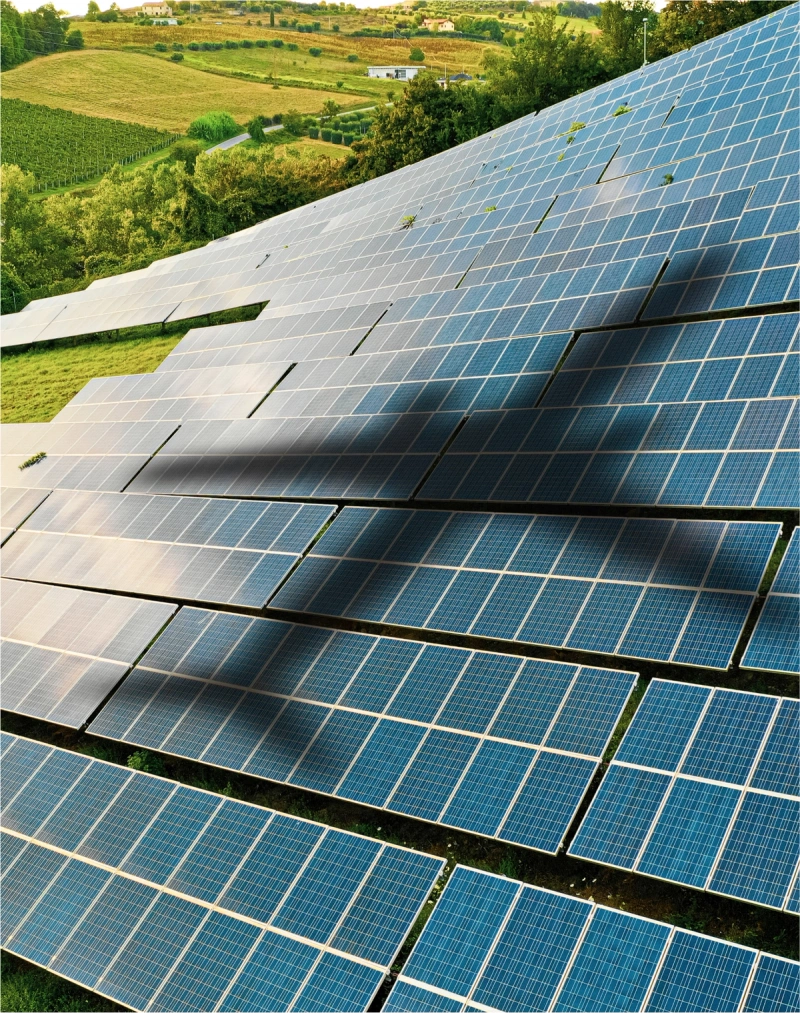 The shadow of a plane against an array of solar panels