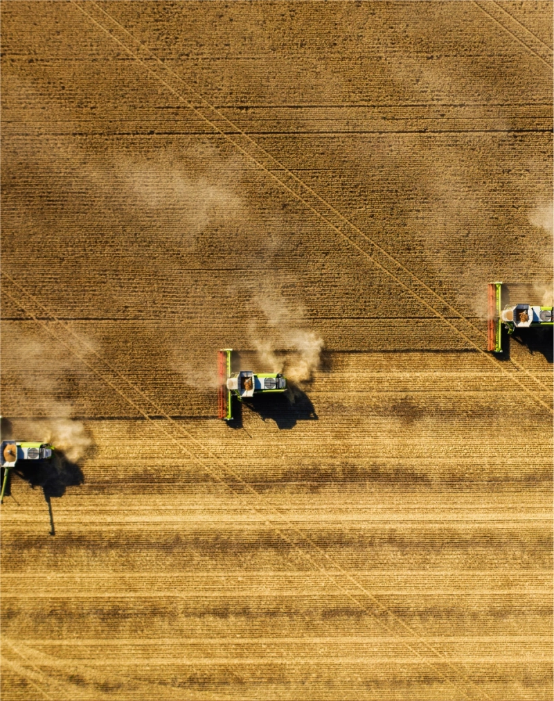 An aerial view of croplands