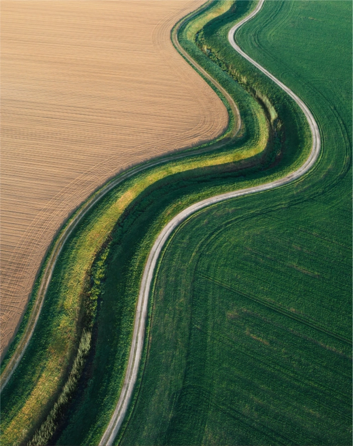 An aerial view of crop fields