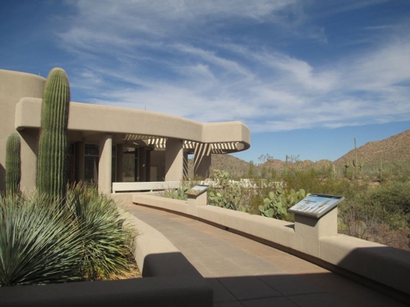 A Civilian Conservation Corps site at Saguaro National Park