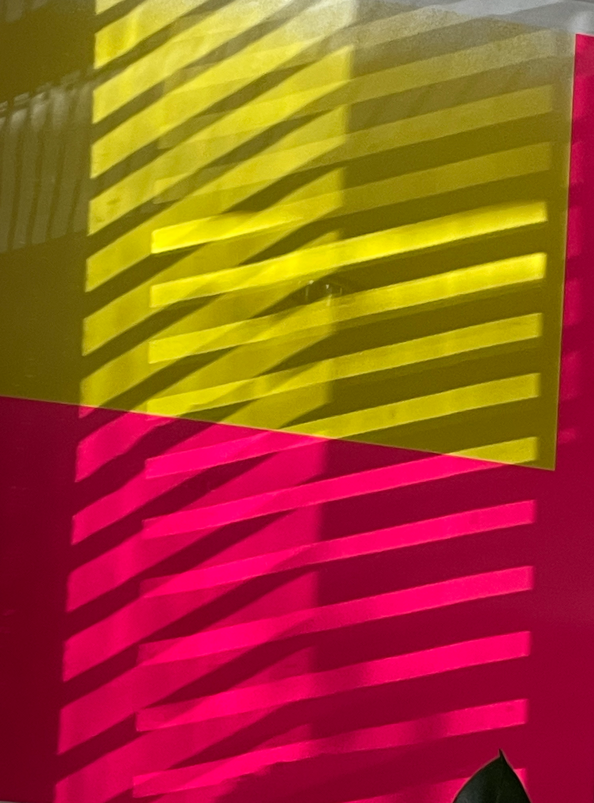 Blades of light, shining from the north, through venetians, strike a screen-print mounted behind glass. Crosshatched shadows overlay the fluorescent, angular composition of the print. The background is beyond-primary-pink, over top is a lemon-sun quadrilateral. A pointed leaf peers from the bottom right corner, like a cautious cat listening.