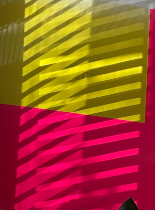 Blades of light, shining from the north, through venetians, strike a screen-print mounted behind glass. Crosshatched shadows overlay the fluorescent, angular composition of the print. The background is beyond-primary-pink, over top is a lemon-sun quadrilateral. A pointed leaf peers from the bottom right corner, like a cautious cat listening. 