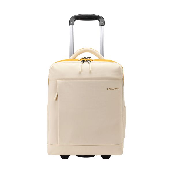 Rolling Backpack  Carryon Luggage Baggage Allowance for Low-Cost Carriers