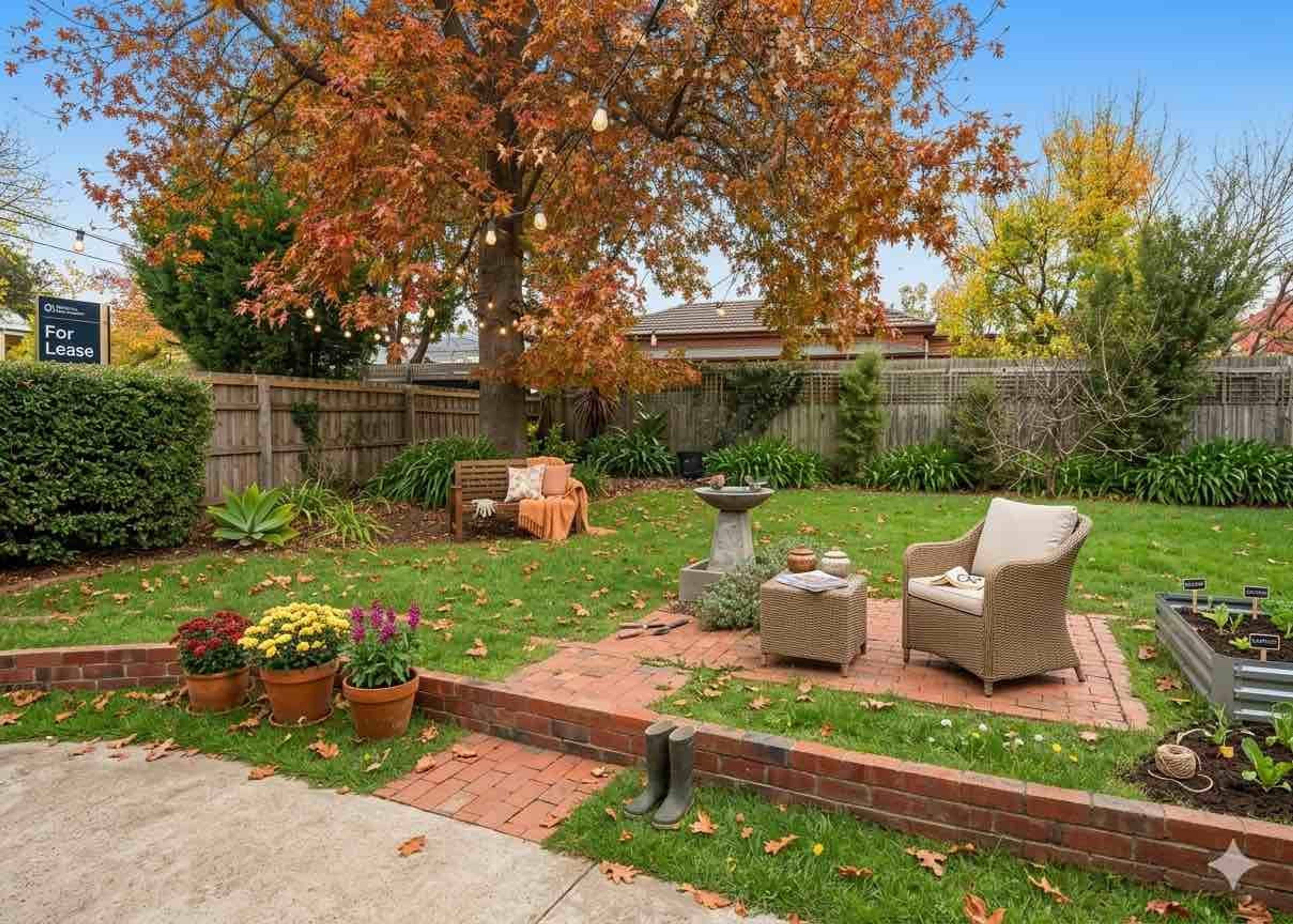 Balwyn North — interior — Backyard
