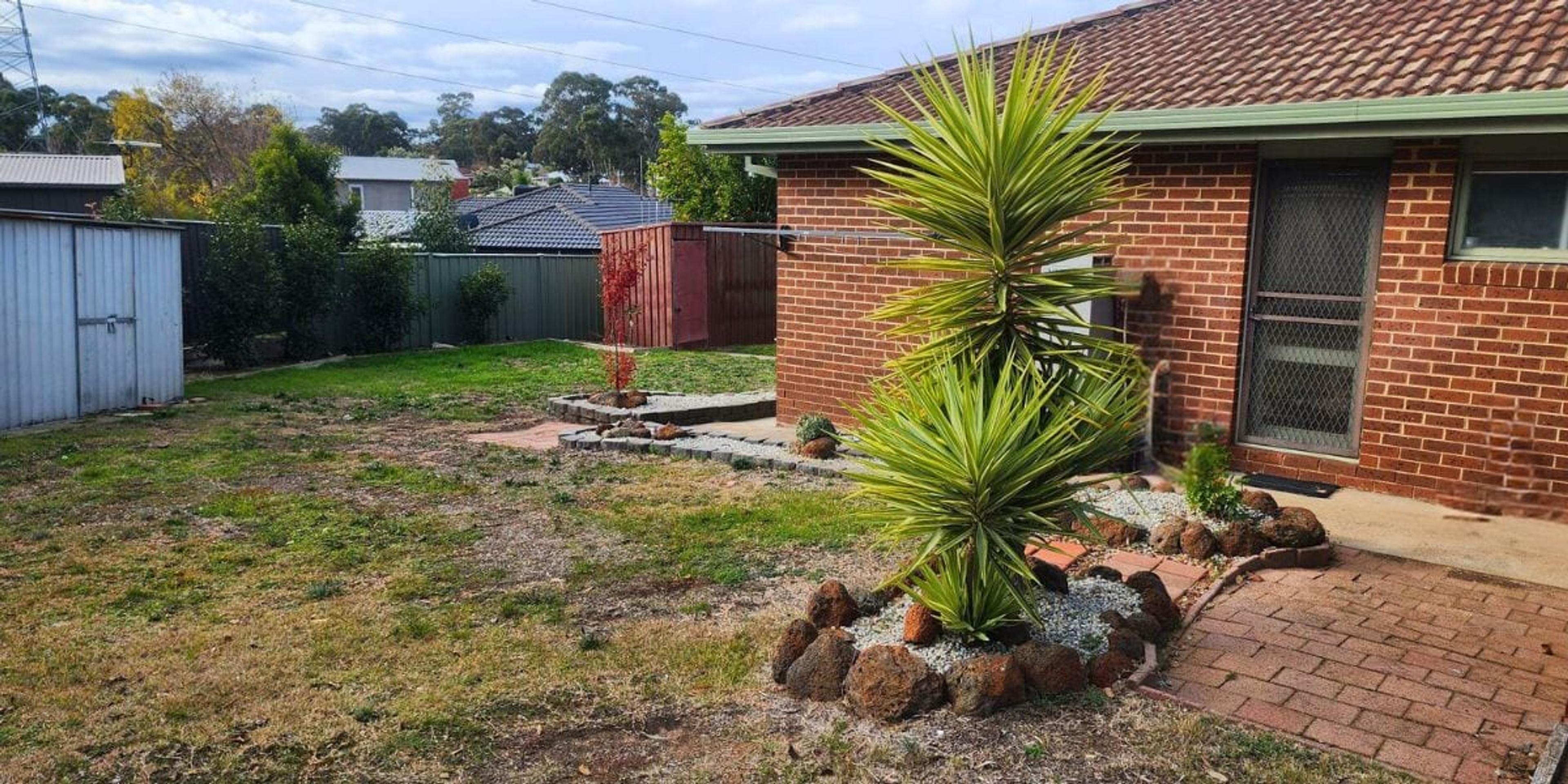 Golden Square Druid — interior — Square Druid Backyard