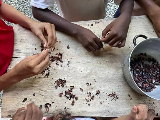 Pelando pepas de cacao para hacer pasta 