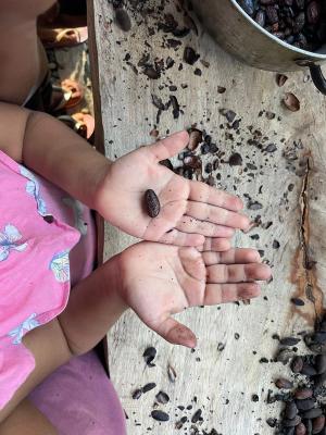 Laboratorio de chocolate