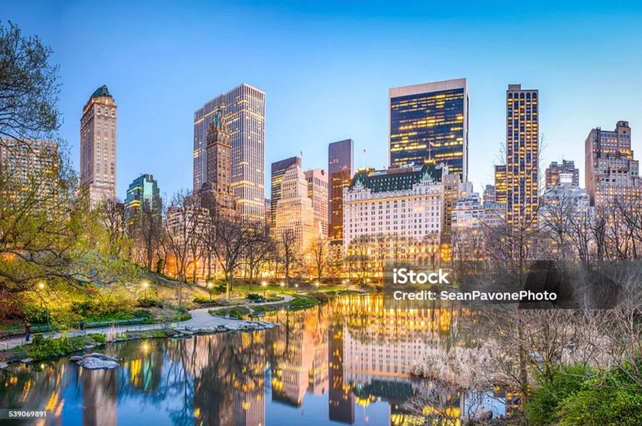NYC lights and Central Park