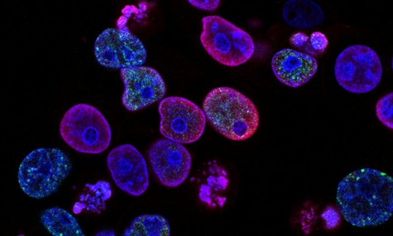 DNA Testing: One of the Most Underused Tools in Healthcare Today