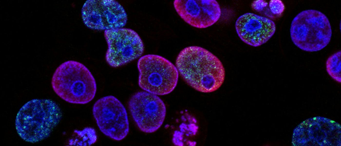 DNA Testing: One of the Most Underused Tools in Healthcare Today