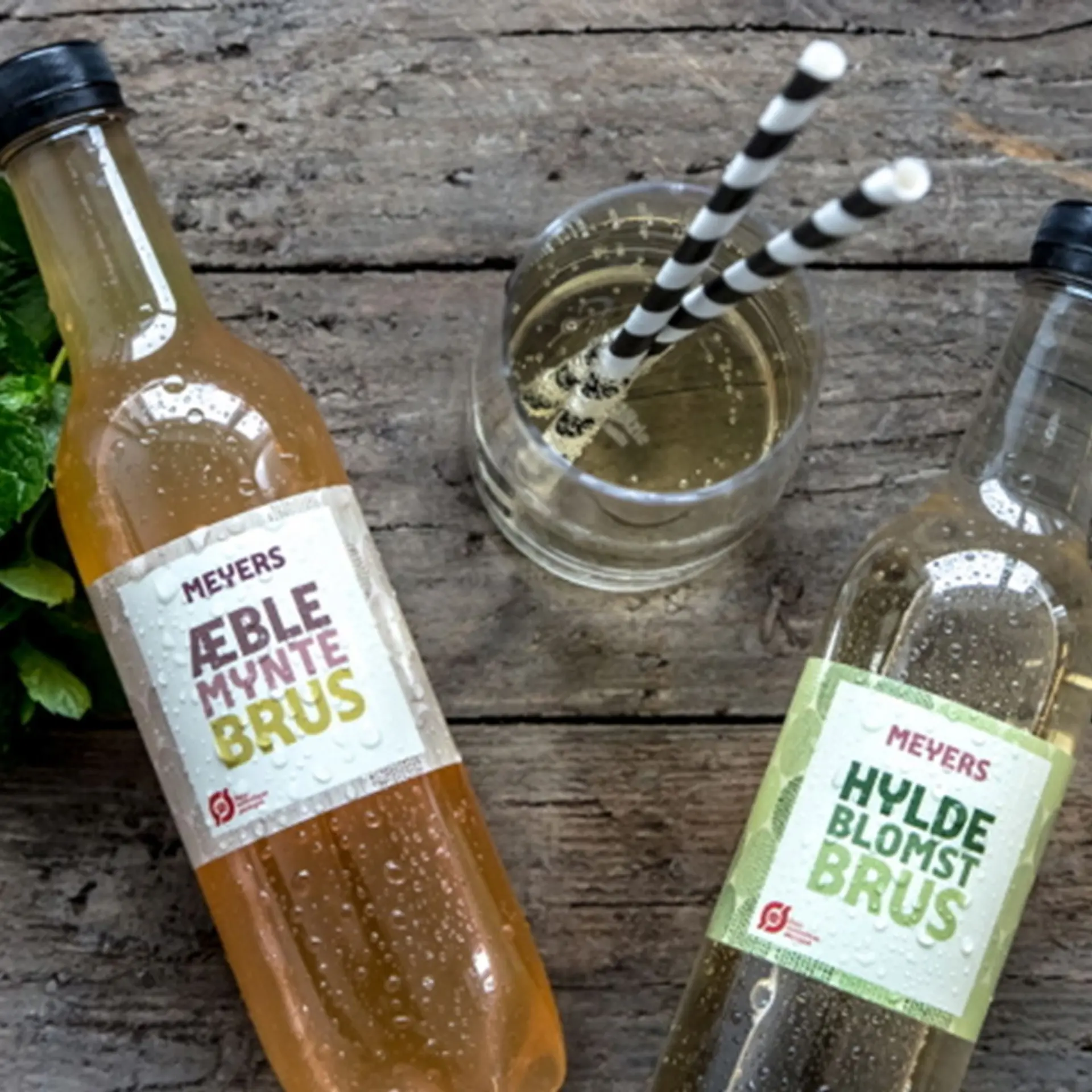 Drinks med æble-myntebrus