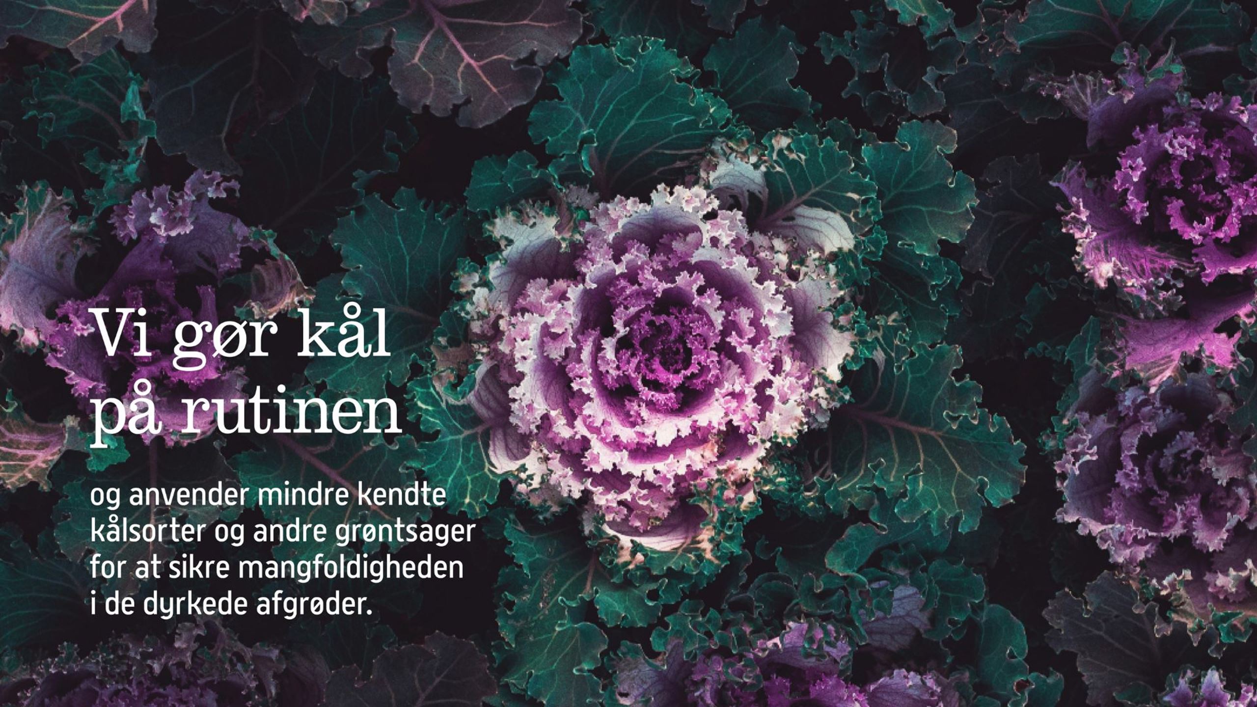 Vi gør kål på rutinen