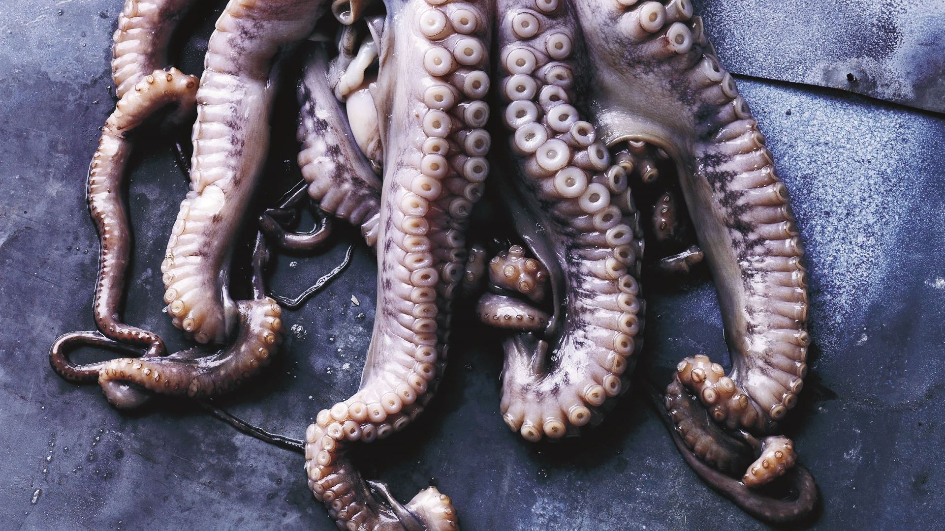 Blæksprutte med kartoffel