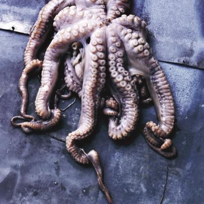 BlΓ¦ksprutte med kartoffelβββββο»Ώβο»Ώββββββο»Ώο»Ώβο»Ώβββββββββο»Ώββββββο»Ώββββββο»Ώβββββββο»Ώβο»Ώββββββο»Ώββββββο»Ώβββο»Ώββββο»Ώβββββββο»Ώο»Ώββββββο»Ώββββββββββο»Ώβββββββββββββββο»Ώβββββββββββο»Ώβββο»Ώβββο»Ώβββο»Ώβο»Ώβο»Ώββββο»Ώο»Ώββο»Ώο»Ώββο»Ώββββββο»Ώβββββββο»Ώβββο»Ώβο»Ώββο»Ώββο»Ώβο»Ώββββββο»Ώββββββο»Ώβββο»Ώββββο»Ώββο»Ώβο»Ώβο»Ώβββο»Ώββββββββββββο»Ώο»Ώββο»Ώο»Ώββββββο»Ώββο»Ώββββββββο»Ώββο»Ώββββο»Ώο»Ώβββββββββββββο»Ώββββο»Ώο»Ώββο»Ώβββο»Ώο»Ώβββββββββο»Ώο»Ώββο»Ώβββο»Ώβββββββο»Ώβο»Ώββββββο»Ώββο»Ώβββββββο»Ώββββββββο»Ώο»Ώββο»Ώββο»Ώβο»Ώβββββββββο»Ώο»Ώββββββββββο»Ώβββο»Ώβββο»Ώβο»Ώβο»Ώβββββββο»Ώββββο»Ώββο»Ώβββο»Ώβββο»Ώβββο»Ώββββο»Ώββο»Ώβββββββο»Ώβββο»Ώββββο»Ώββο»Ώβββο»Ώβββο»Ώβββο»Ώββββο»Ώββο»Ώβββο»Ώβββο»Ώβο»Ώβο»Ώβο»Ώβββββο»Ώβββο»Ώβββββββο»Ώβββββο»Ώβο»Ώβββο»Ώβββο»Ώβο»Ώβο»Ώβββο»Ώβββο»Ώβββββββο»Ώο»Ώββο»Ώβββββββββο»Ώβββββο»Ώβββββββο»Ώβο»Ώβο»Ώβββββββο»Ώβββββββο»Ώο»Ώβββββββο»Ώββββββββο»Ώββββββο»Ώβββββββο»Ώββο»Ώβββο»Ώο»Ώο»Ώβββββββββο»Ώβο»Ώβββββββββο»Ώββββο»Ώββο»Ώο»Ώββββββο»Ώβββο»Ώβββο»Ώβββο»Ώβο»Ώβββββο»Ώβο»Ώβββββββββο»Ώβββββββββββο»Ώββββββββο»Ώββββββο»Ώβββββββο»Ώβββο»Ώβο»Ώββο»Ώββο»Ώβο»Ώββββββο»Ώββββββο»Ώβββο»Ώββββο»Ώββο»Ώβο»Ώβο»Ώβββο»Ώββββββββββββο»Ώο»Ώβββββββββββββο»Ώο»Ώββββββββββο»Ώβββο»Ώβββο»Ώβο»Ώβο»Ώβββββββο»Ώββββο»Ώββο»Ώβββο»Ώβββο»Ώβββο»Ώββββο»Ώββο»Ώβββββββο»Ώβββο»Ώββββο»Ώββο»Ώβββο»Ώβββο»Ώβββο»Ώββββο»Ώββο»Ώβββο»Ώβββο»Ώβο»Ώβο»Ώβο»Ώβββββο»Ώβββο»Ώβββββββο»Ώβββββο»Ώβο»Ώβββο»Ώβββββββο»Ώβββο»Ώβββο»Ώβββββββο»Ώο»Ώββο»Ώβββββββββο»Ώβββββο»Ώβββββββββββο»Ώβββββββο»Ώβββββββο»Ώο»Ώβββββββο»Ώββββββββο»Ώββββββο»Ώβββββββο»Ώββο»Ώβββββββο»Ώβββββββο»Ώβββο»Ώβο»Ώβο»Ώβββββββββο»Ώβο»Ώβββββββο»Ώβββββββο»Ώο»Ώββο»Ώβββο»Ώββββββββο»Ώββββββο»Ώβο»Ώβββββββββββββββββο»Ώο»Ώβ